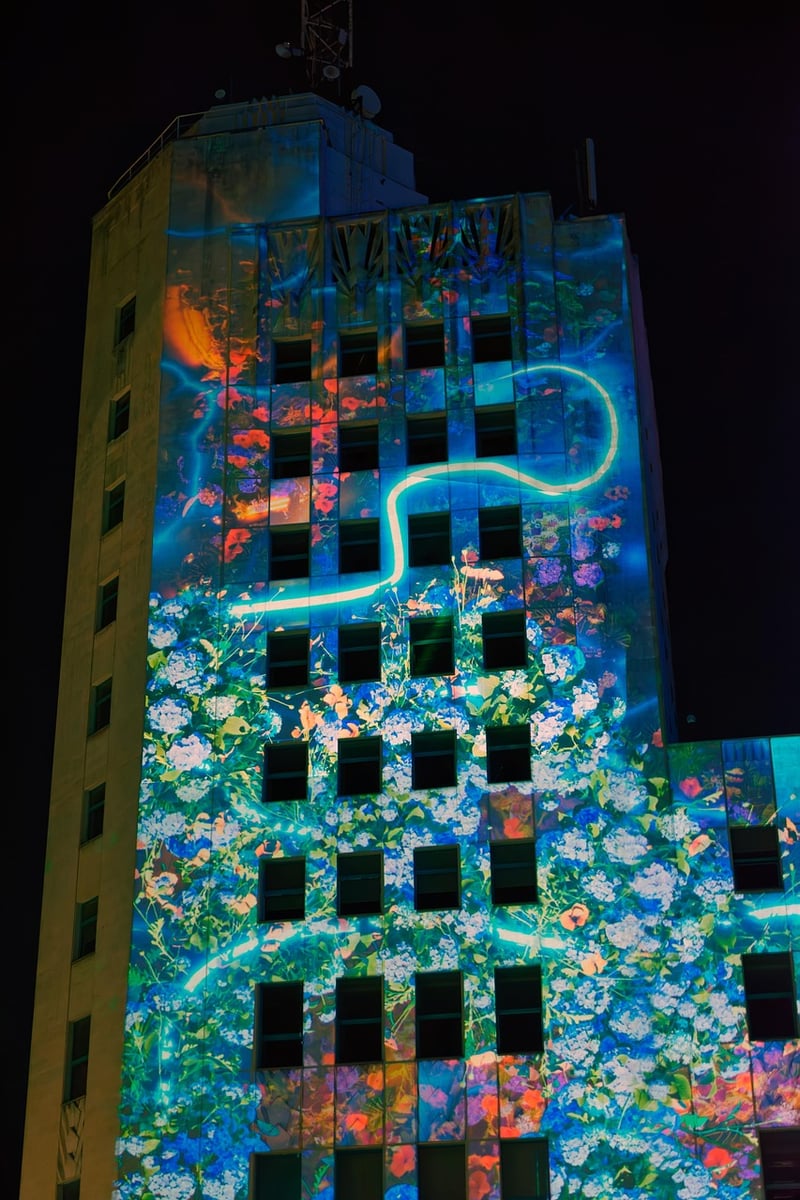 Projection Mapping